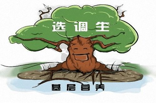 選調(diào)生二年期滿后去向 一名選調(diào)生的公務(wù)員考試之路