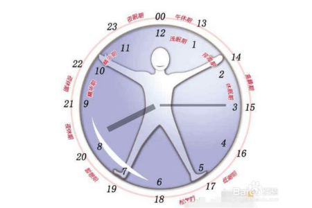 人的正常睡眠是多少個小時 科學(xué)的睡眠時間表