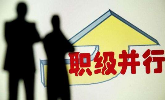 非領(lǐng)導(dǎo)職務(wù)轉(zhuǎn)為職級(jí)公務(wù)員后，待遇有何不同？